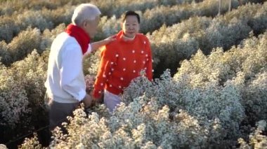 Asyalı yaşlı çift mutlu bir gülümseme bayram mevsiminde yeni yılı birlikte kutluyoruz.