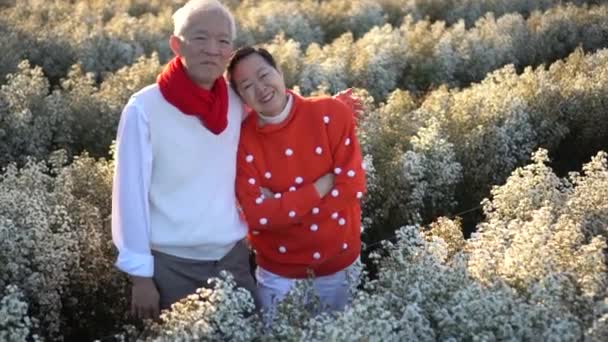 Asiatisk Senior Ældre Par Glad Smil Elsker Ferie Sæson Jul – Stock-video