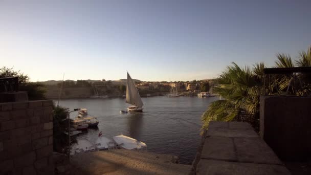 Aswan Şehri Yakınlarındaki Nil Nehri Nde Seyreden Felluca Yelkenlisi Mısır — Stok video