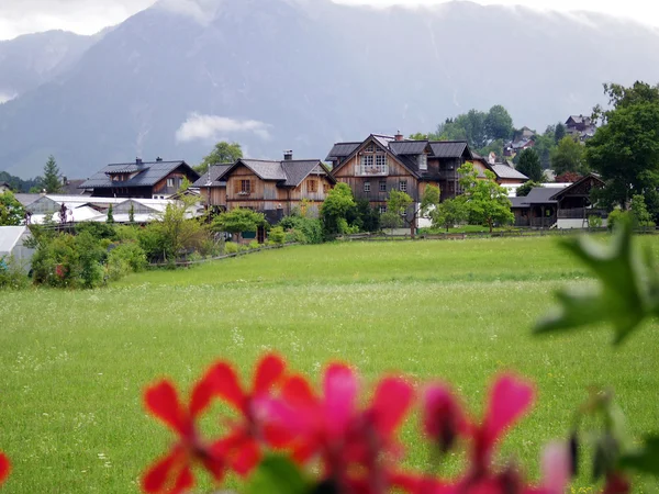 Switzerland log house with flower — Stock Photo, Image