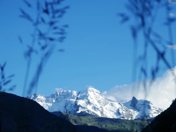 Alperna i Schweiz — Stockfoto