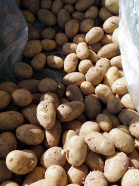 pazarda patates kazık