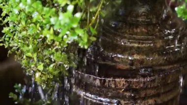 Su cascade yeşil yaprakları düşer.