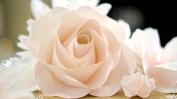 Roses flower wedding background — Stock Photo, Image