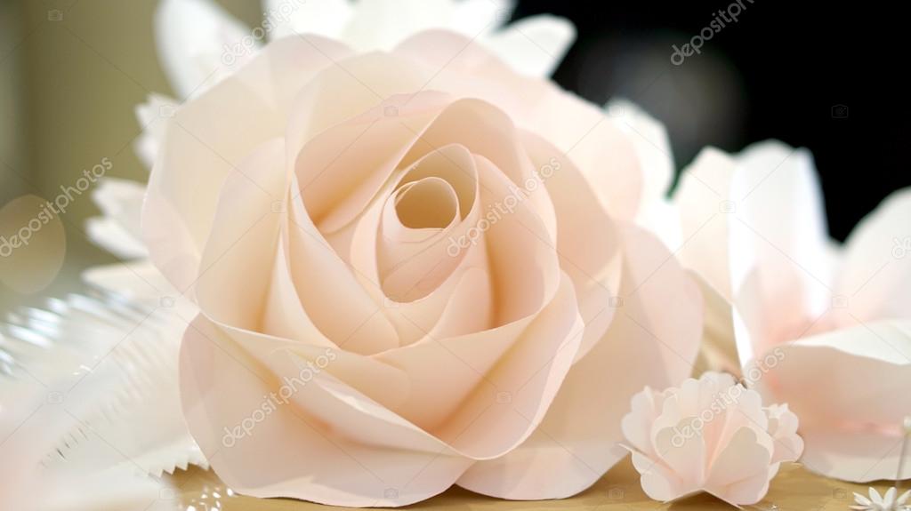 roses flower wedding background