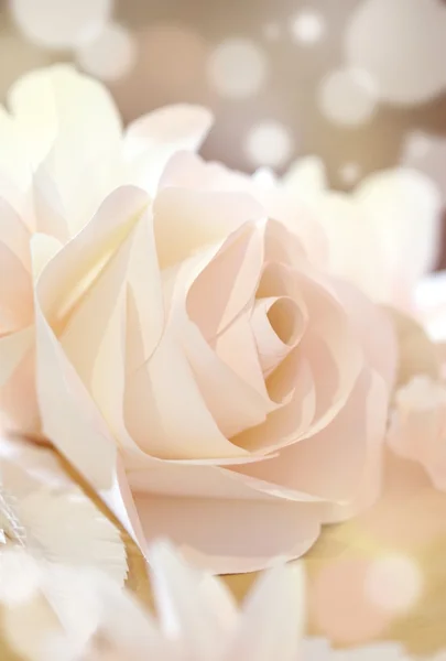 玫瑰花朵婚礼情人节背景 — 图库照片