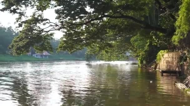 Sol de la mañana en el río Ping, Chiangmai, Tailandia — Vídeo de stock