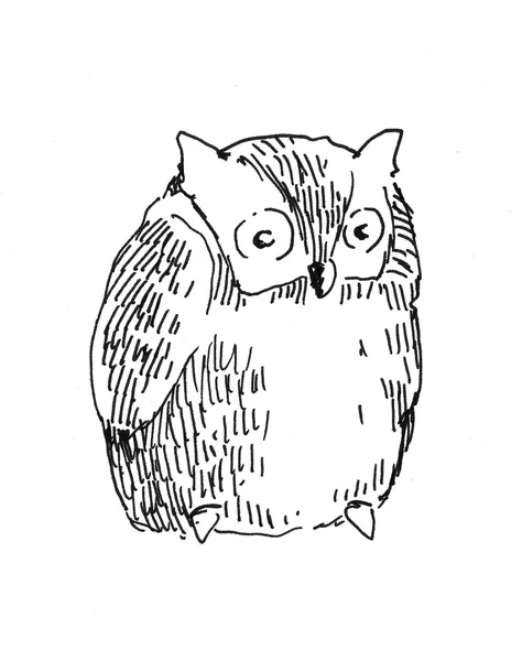 Owl illustration — Stock Photo, Image