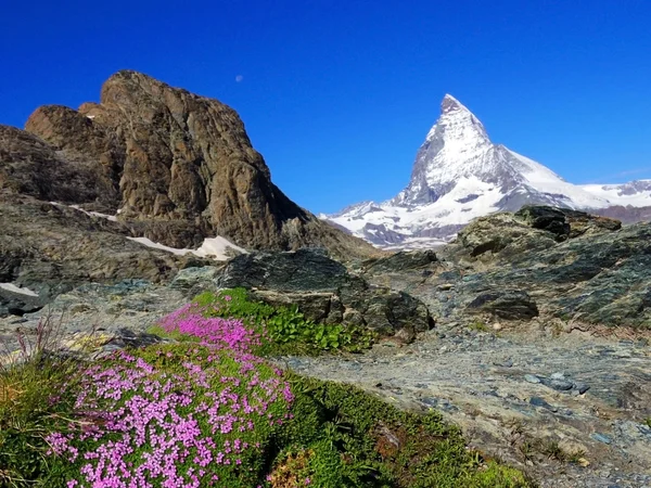 Zermatt schweiz, grüne autofreie stadt matterhorn blick — Stockfoto