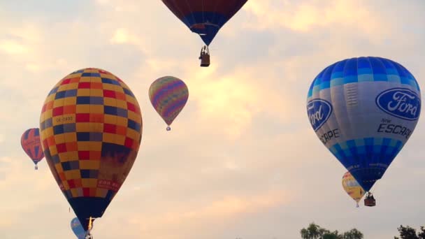 Internationella ballong festival — Stockvideo