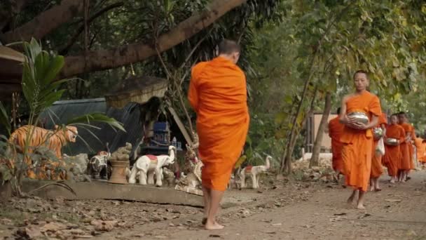 Kalmerende boeddhistische monniken en alms wandelen in de vroege ochtend — Stockvideo