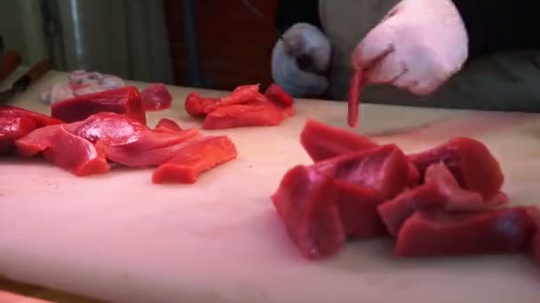 Giapponese varietà di cibo in azione — Video Stock