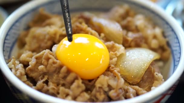 Diverse soort van Japans eten korte beelden — Stockvideo