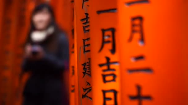 Torii portão vermelho no templo santuário Fushimi Inari — Vídeo de Stock