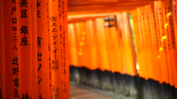 Red gate torii at Fushimi Inari temple shrine — Stock Video