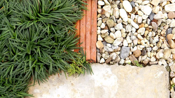 Steen van tuin pad en gras — Stockfoto