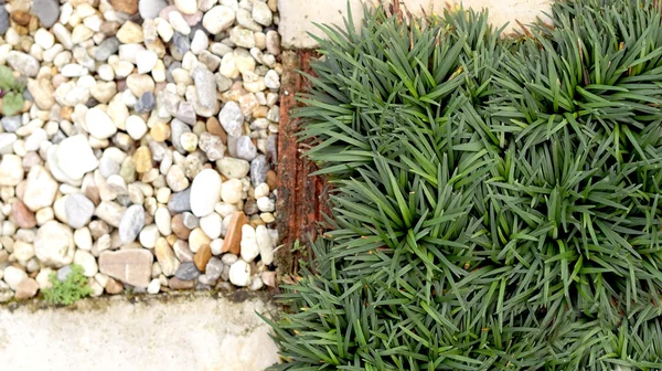 Steen van tuin pad en gras — Stockfoto