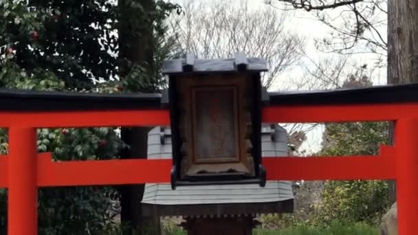 Buddhist girl praying at Japanese temple — Stock Video