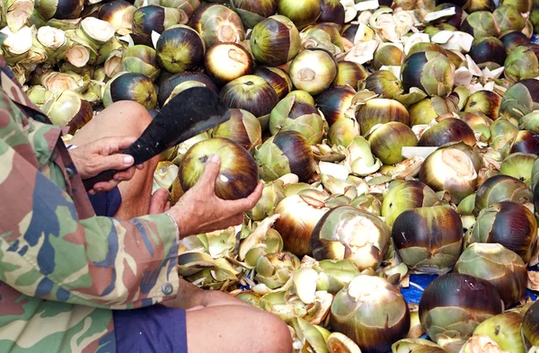 El hombre se prepara para abrir fruta de palma de azúcar —  Fotos de Stock