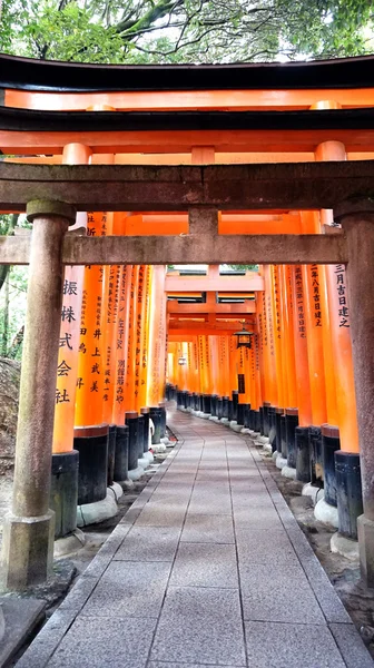 Czerwone torii sanktuarium świątyni Fushimi Inari — Zdjęcie stockowe