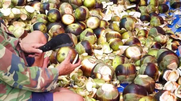 Człowiek przygotowuje się do otwarcia owoc palmowy cukier — Wideo stockowe