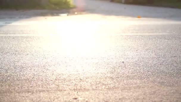 Marathon coureurs au soleil du matin — Video