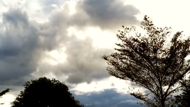 Cielo nublado con luz dorada — Vídeo de stock