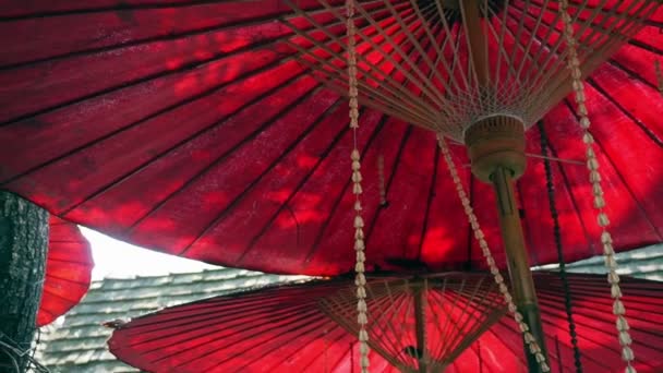 Ανατολίτικο κόκκινη ομπρέλα με φύλλα και ηλιοφάνεια. — Αρχείο Βίντεο