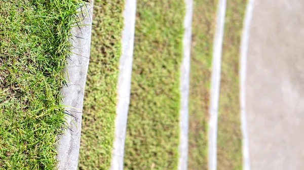Травяные ступени — стоковое фото