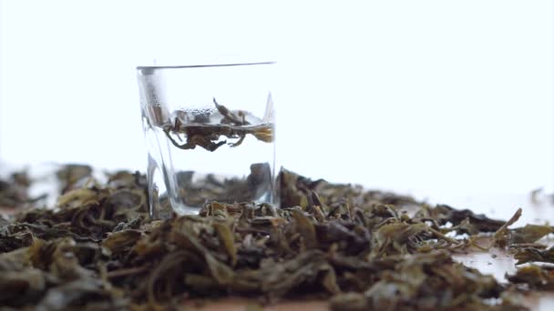 Hojas de té disueltas en agua caliente — Vídeo de stock