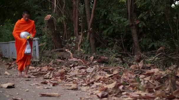 Chiangmai, Thaïlande - Décembre 2014 - Le moine et l'aumône bouddhistes marchent tôt le matin — Video