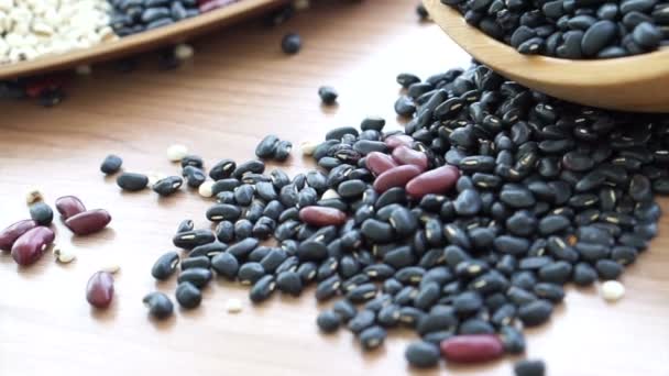 Frijoles rojo negro y lágrimas de trabajo multi-grano de alimentos proteicos — Vídeos de Stock