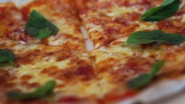 Video av Pan kamera mellan två margarita pizza — Stockvideo