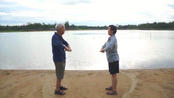 Βίντεο της Ασίας Senior ηλικιωμένο ζευγάρι πρακτική Ταϊτσί, Qi Gong άσκηση υπαίθρια δίπλα στη λίμνη — Αρχείο Βίντεο