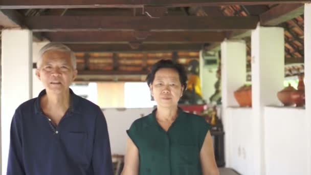 Feliz pareja de ancianos mientras caminan a través de la cámara — Vídeo de stock