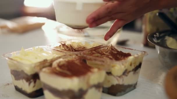 Dusting tiramisu cake by powdered cocoa — Stock Video