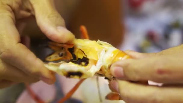 Říční krevety grilované. Lahodné mořské plody na grilu. — Stock video
