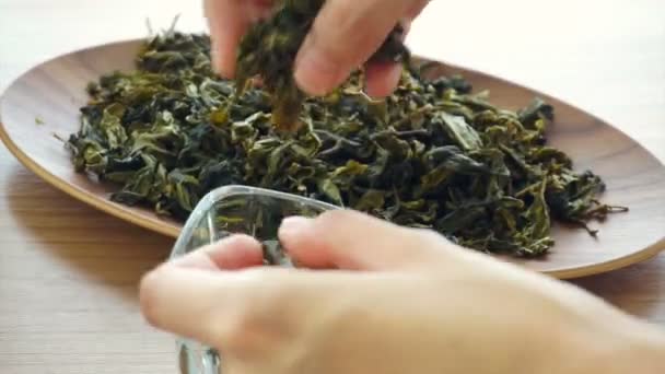 Hand setting dried green tea leaves — Stock Video