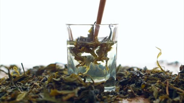 Hoja de té disuelta en agua caliente sobre fondo blanco — Vídeos de Stock