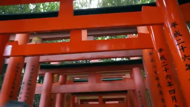 Červená brána torii v Fushimi Inari svatyni chrámu v Kjótu, Japonsko — Stock video