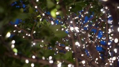 kentsel ağaçlar Noel ışıkları ile dekore edilmiştir. Tatil için şehir gece ışık. Mavi büyülü Noel ve yeni yıl dekorasyon