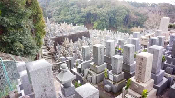 Кіото, Японія - Березень 2015: Озираючись кладовище Пагорб в Кіото, Японія. Площа на вершині пагорба ліс — стокове відео