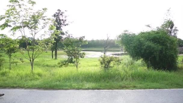 Feliz asiática mayor pareja caminando ejercicio a lo largo del lago. Amor abstracto salud y naturaleza — Vídeos de Stock