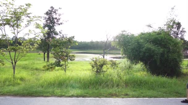 Feliz asiática mayor pareja caminando ejercicio a lo largo del lago. Amor abstracto salud y naturaleza — Vídeos de Stock