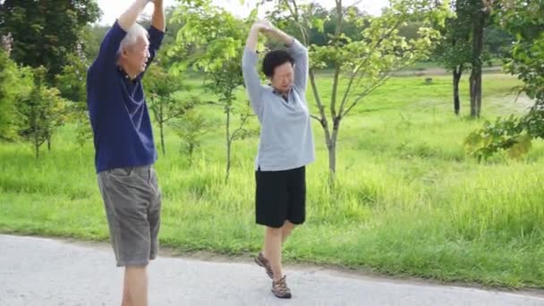 Lyckliga asiatiska senior par promenader motion längs sjön. Abstrakt kärlek hälsa och natur — Stockvideo