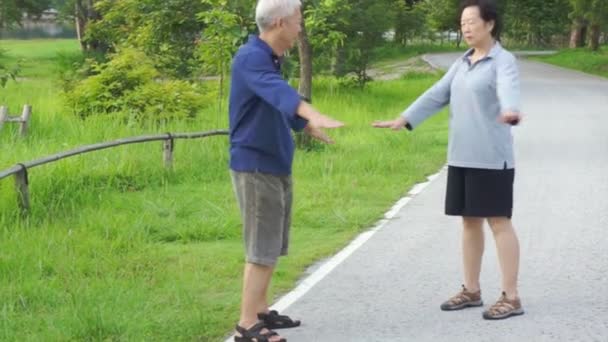 Lyckliga asiatiska senior par promenader motion längs sjön. Abstrakt kärlek hälsa och natur — Stockvideo