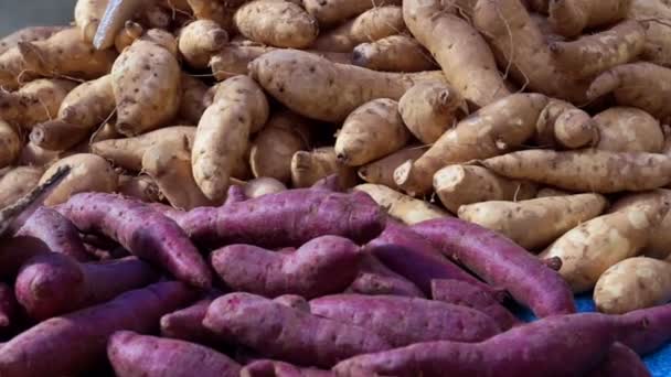 Sweet Potato Nutrition Facts