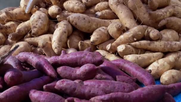 Vidéo violet et jaune ignames pile dans le marché — Video