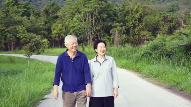 Видео счастливой азиатской пожилой пары указывая, разговаривая и ходить по парку с горным фоном — стоковое видео