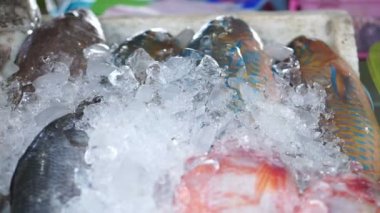 çeşitli piyasada buz üzerinde taze balık